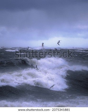 Sea storm. Stormy weather. Storm waves.Big storm. Storm Wind