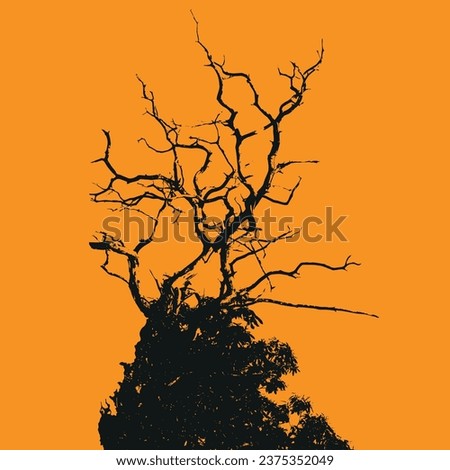 
Dead tree branches abstract silhouette