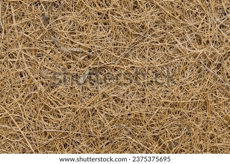 Coconut fiber solid background image. Material is used for many purposes including gardening and manufacturing of doormats, brushes and mattresses. Royalty-Free Stock Photo #2375375695