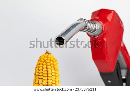 Ethanol gasoline dripping from fuel nozzle with corn. Biofuel, renewable energy and agriculture concept. Royalty-Free Stock Photo #2375376211