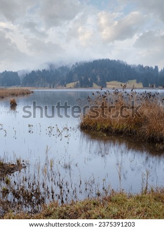 Alpine  lake Geroldee or Wagenbruchsee, Bavaria, Germany. Autumn overcast, foggy and drizzle day. Picturesque traveling, seasonal, weather, and rural nature beauty concept scene. Royalty-Free Stock Photo #2375391203