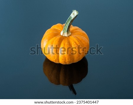 Picture a pumpkin graced by a sizable green stem, poised on a sleek black blue surface that mirrors its image, while a pristine white wall stands as a backdrop.