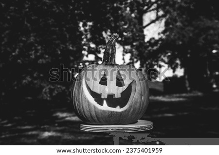 Halloween pumpkin Jack-O'-lantern a hollowed pumpkin with opening cut to represent human eyes, nose and mouth black and white picture. 