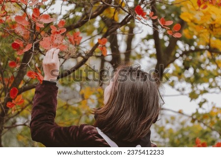 Young brown-haired woman touching tree branch with colorful red-yellow-green foliage in autumn park. A girl enjoying a walk relaxing in nature in a fall season Back view female tourist discover nature Royalty-Free Stock Photo #2375412233