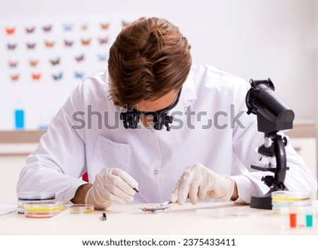 Scientist entomologist studying new butterfly species Royalty-Free Stock Photo #2375433411