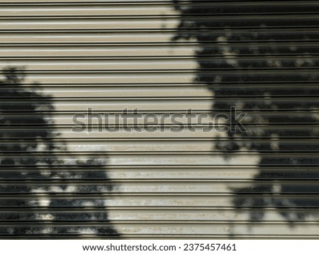 White door frame, shadows from the tree branches. Black and white. Wallpaper. Abstract  background concept.