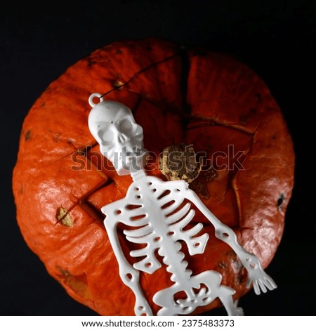 Funny happy halloween skeletons and pumpkin Jack O Lantern on black background. Halloween greeting card, party invitation on halloween party, the day of the Dead, closeup