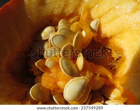 Macro of pumpkin seeds inside an orange pumpkin at Halloween