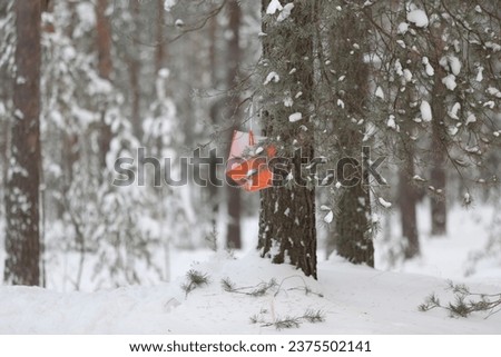checkpoint for winter orienteering in a snowy forest Royalty-Free Stock Photo #2375502141