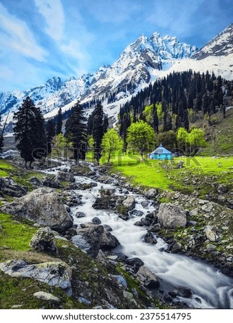 Thajiwas Glacier is a beautiful Glacier in Sonmarg, Kashmir. Breathtaking landscapes, exotic mountains, tall trees, spalshing rivers and a grand tranquility all around.Picture was taken 23rd may, 2023