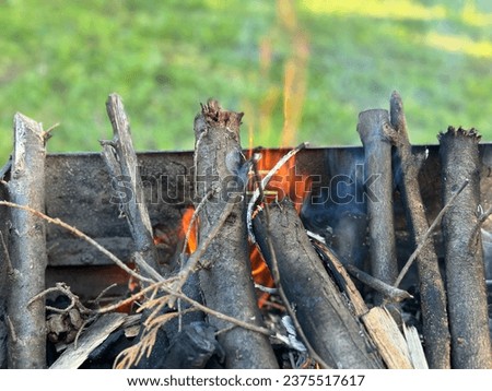 close-up barbecue fire with green background