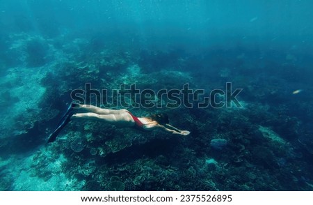  female snorkeling in flipper discover aquatic life in Bali during leisure time Royalty-Free Stock Photo #2375526895