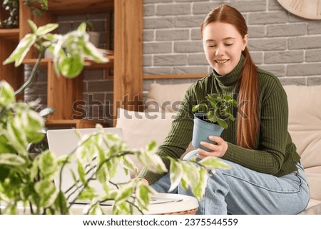 Young woman with plant and laptop at home