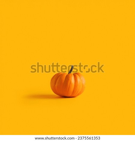 Orange colored raw autumn pumpkin on yellow background.