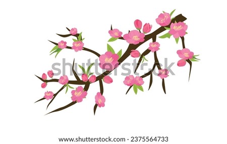 Cartoon peach blossom vector set with flower, leaf, bud, tree branch. Cherry blossom vector. Spring flower.Tet flower. Vietnam traditional new year flower, hoa dao. Flat vector in cartoon style.