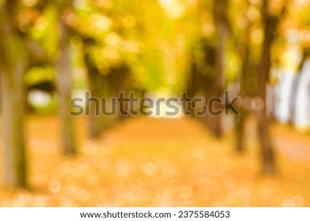 BLURRED AUTUMN NATURE PARK PATH WAY WITH YELLOW TREE LEAVES, FALL SEASON NATURE BACKGROUND