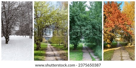 Bright seasonal collage of photographs from the four seasons. City alley near the house in winter, spring, summer and autumn. Change of seasons. Natural background. Beautiful cityscape Royalty-Free Stock Photo #2375650387