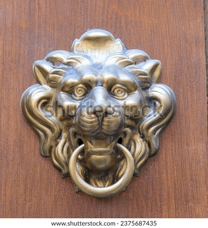 Brass door knocker in the shape of a lion's head. High quality photo