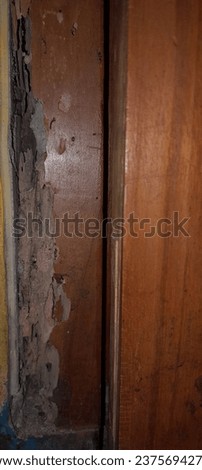 This is a picture of wood being eaten by termites and only teak wood is resistant to termite attacks