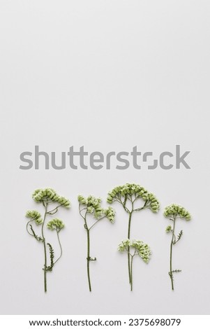 Minimal autumn composition with dried wild flowers on green background, nature autumnal decor, still life photo earth colors, minimal style flat lay of natural forest flowers. Autumn, fall concept.