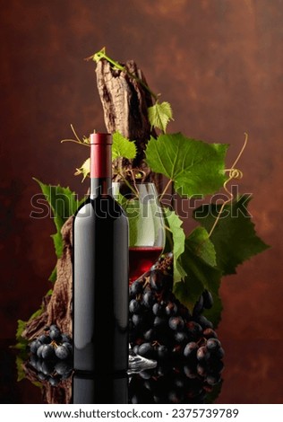Glass and bottle of red wine with blue grapes and vine branches. Copy space.