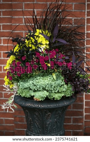 Bright colorful festive composition seasonal multicolor mum flower pot decorated pumpkins vegetables on yellow harvest hay bale porch home yard garden. Halloween holidays autumn decoration background Royalty-Free Stock Photo #2375741621
