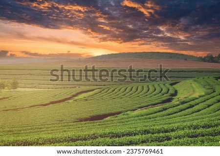 spherical 360 hdri panorama among farming field with clouds and sun on evening blue sky before sunset in equirectangular seamless projection, as sky replacement in drone panoramas, game development