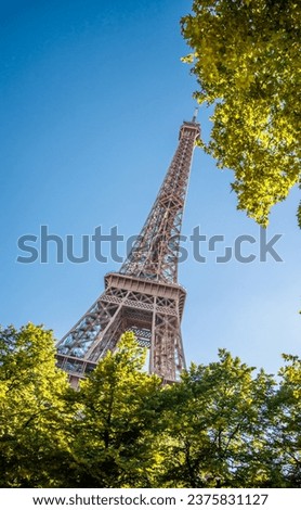Eiffel Tower Full Detailed View