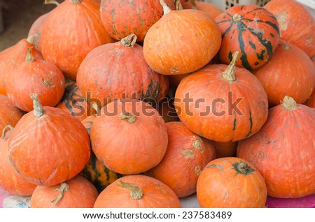 the closeup picture of pumkins
