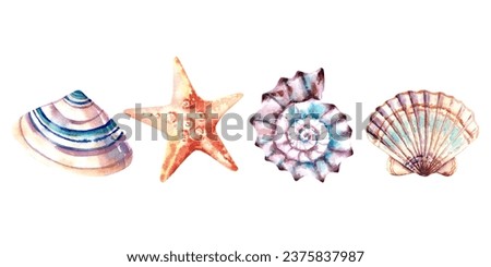 A set of seashells and a starfish. Watercolor illustration. Marine animals. Inhabitants of the depths of the sea.