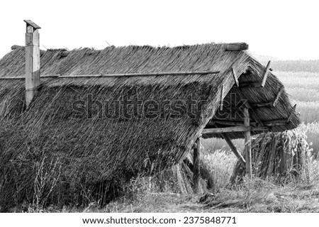 house with thatched roof in the country