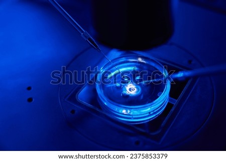 Closeup of intracytoplasmic sperm injection being performed in Petri dish Royalty-Free Stock Photo #2375853379