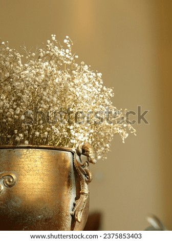 Dried gypsophila flower inside a copper vase inside the house