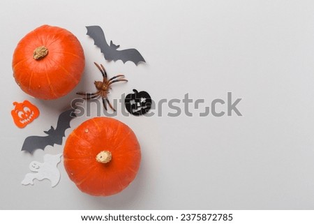 Halloween decoration and pumpkins on color background, top view