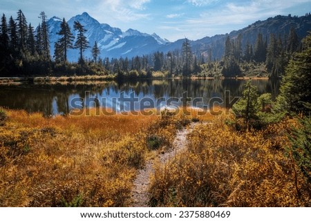 Picture Lake with snow-capped Mount Shuksan in the background showing autumn colors. Home to one of the most photographed vistas in America and even more special during the fall season. 