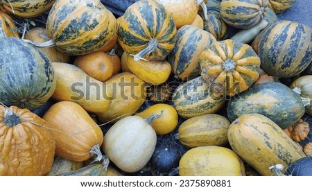 Background with colorful homemade pumpkins. High quality stock photo.