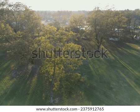 Beautiful sunset from behind a tree in a suburban neighborhood. Sunlight flickers through the trees providing a wonderful scene.