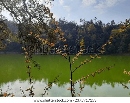 Collective view of lake of sap green color and branches having fresh brown leaves and spikes. Forests near lake and sky are in backdrop. Lake is Deoria tal near Sari, Rudraprayag, Uttarakhand, India.