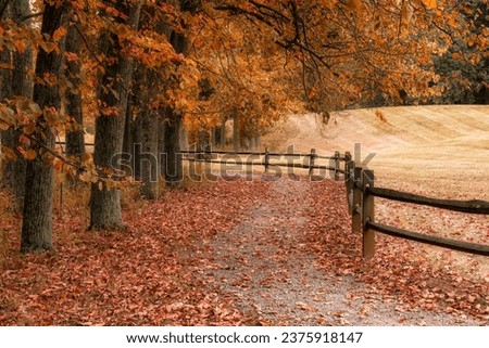 A tranquil path along a wooden fence with Autumn colors at Dawes Arboretum in Newark Ohio.  Royalty-Free Stock Photo #2375918147