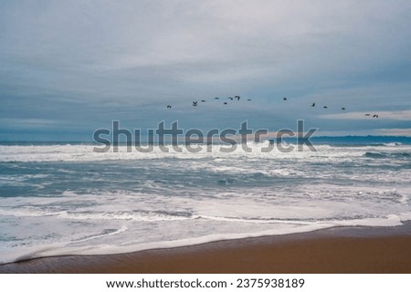 Stormy Pacific ocean, and cloudy sky with silhouette of flying birds in the horizon. California coastline