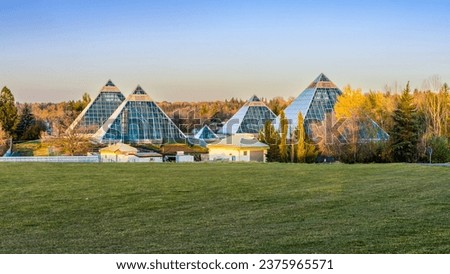 Edmonton landscape with  the Muttart Conservatory glass pyramids in fall season Royalty-Free Stock Photo #2375965571
