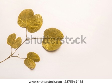 Metallic golden color Sona Patta or Apte leaves on white background. Dussehra greeting card photo or elements. Royalty-Free Stock Photo #2375969465