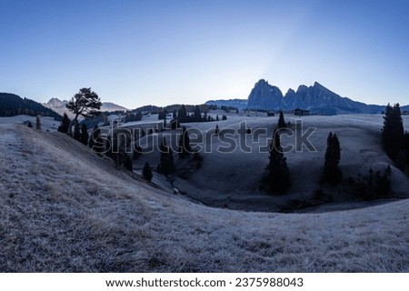 A frosty autumn morning on the Alpe di Siusi, South Tyrol, Italy