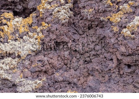 Detailed rock structure with lichen in a spatter cone in the Craters of the Moon National Monument