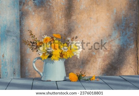chrysanthemum flowers in jug on background old wall in sunlight