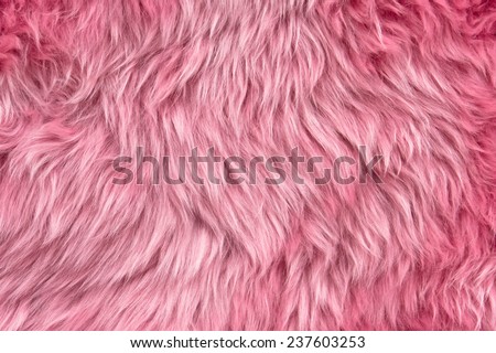 Close up of a pink dyed sheepskin rug as a background Royalty-Free Stock Photo #237603253