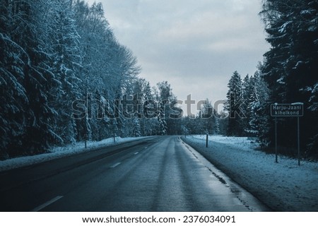 Winter snow falling roads and trees landscape or portraits images beautiful nature wallpapers 