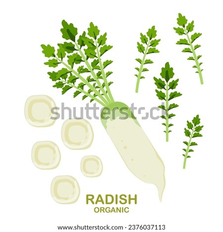 Vector illustration Radishes and ingredients Easy to edit White background. Royalty-Free Stock Photo #2376037113