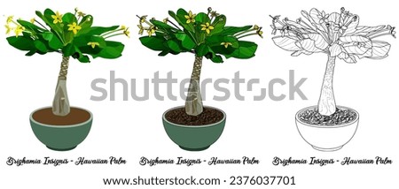 House plant coloring book vector art hand drawn illustration