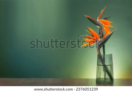 bird of paradise flowers in vase on green background